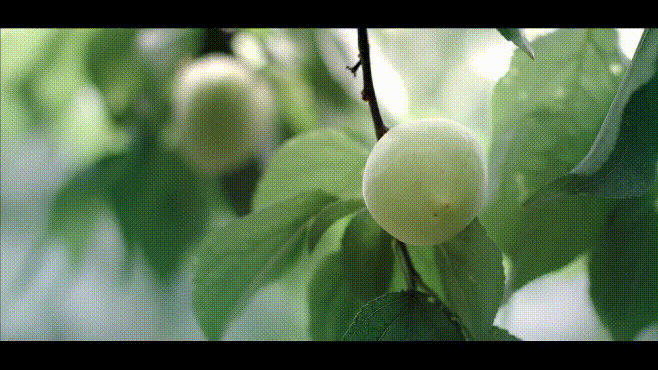 2.1.gif